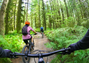 Exercising While Traveling: Fitness Tips for Busy Professionals