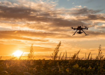 Drone Photography and Videography: Aerial Perspectives on Your Business Trips