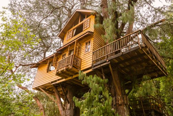 Treehouses Getting Close to Nature